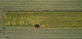 태풍 이겨내고 추수 한창인 김제 금만평야