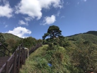 국립공원공단 지리산전북사무소 와운명품마을 천년송 소원엽소프로그램