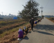 완주 이서면, 가을맞이 도로변 꽃길 조성