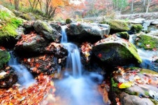 아기단풍·폭포·힐링 순창 강천산