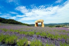 [창간] 꽃과 자연 활용 치유 관광도시 부푼 꿈