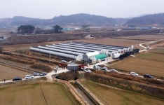 정읍 정우면 육용 오리 농장 고병원성 조류인플루엔자(AI) 확진