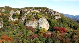 고창군, 선운산도립공원·고창읍성 등 내년 1월3일까지 일시폐쇄