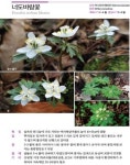 산림환경연구소, 내동산 자생식물 도감 발간