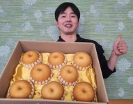 익산 강대암농장 배 빠농 인기