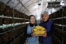 <귀농·귀촌기획> 귀농 1번지 진서면 버섯놀이터 변산농장 김시환.이현미 부부