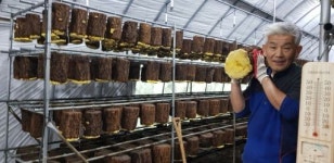 <귀농·귀촌기획> 귀농 1번지 진서면 버섯놀이터 변산농장 김시환.이현미 부부