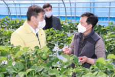 전춘성 진안군수, 토마토·딸기 육묘 시설채소 재배 현장점검
