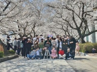 원광대학교 캠퍼스 벚꽃 만개
