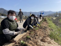 장수군 산서면 주민자치위, 아름다운 꽃길 가꾸기 구슬땀