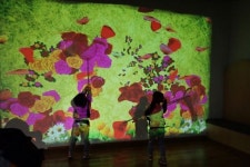 무주 반디랜드 곤충박물관에서 유쾌한 만남