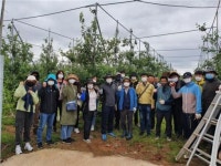 부안군 공무원 코로나19 극복 일손돕기 봉사활동