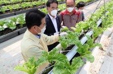 권익현 부안군수 스마트팜 상추재배 농가 현장행정 펼쳐