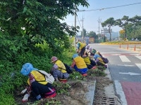 김제 금산면, 장마철 대비 가로변 환경정비 추진