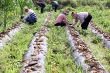 임실군청 공무원노조 직원들과 농산물 나눔사랑 전개