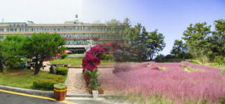 신흥공원 다이로움 익산 행복정원 수변 산책로 개방