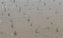 군산시 차별화된 농업시책으로 농업 경쟁력 제고