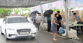 전주복숭아 직거래, 올해도 드라이브 스루로 운영