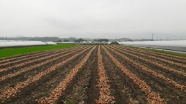 <귀농귀촌>지리산&섬진강 옥야백리 농원 이대숙 대표가 전하는 귀농 예찬