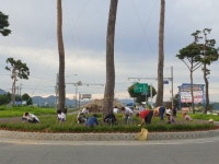 완주 봉동읍 주민자치위원회, 회전교차로·도로변 일대 환경정비
