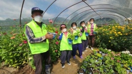 임실시니어클럽 취약계층 희망의 화분 나눔