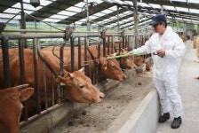 장수군, 구제역 예방접종으로 청정 장수 만든다