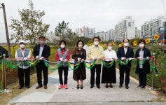 익산 동산동 유천생태습지 해바라기 꽃길 개장