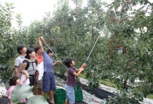 무주군, 영농형 태양광 재배모델 실증 공모사업 선정