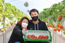 <귀농귀촌 특집> 순창 딸기농장 자연이팜 양동훈·이분례 부부