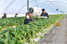 <귀농귀촌 특집> 순창 딸기농장 자연이팜 양동훈·이분례 부부