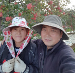 <귀농귀촌> 새롬농원 이병재 장윤미 부부의 사과 이야기