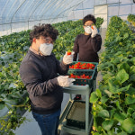 [기획] 전북 우수 (예비)사회적기업·(사회적)협동조합 농업회사법인(유)산돌팜, 전북행복한돌봄 사회적협동조합