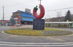 임실 관촌면 화사한 봄꽃과 함께 힐링하세요