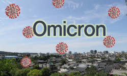 양성 나오면 어떡해.. 코로나 검사 기피하는 샤이 오미크론 늘어