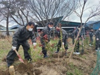 전북농협, 깨끗한 축산농장 방취림 조성사업 실시