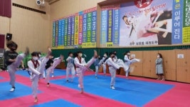전주남초 태권도부, 전국소년체육대회 전북태권도 대표 선수 선발전 우수성적