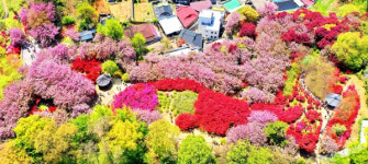 완산칠봉 꽃동산