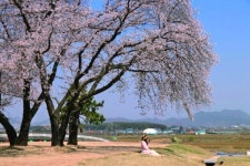 코로나로 지친 몸과 마음 익산에서 힐링하세요