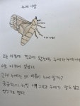 목화로 사계절 마을 나들이 3탄