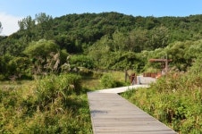 고창군, 운곡습지 인근에 구름골 자연휴양림 추진