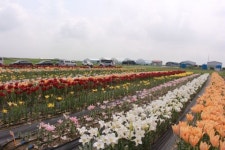 김제소방서, 새만금 간척지 광활 시험지 내 찾아가는 예방행정 실시