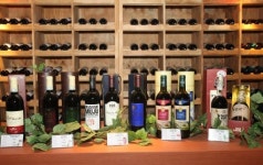 [추석 특산품] 무주 머루와인, 무주 반딧불천마