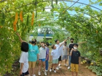 부안남초등학교 신나는 여름방학! 생태체험학습장 운영