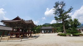 [걸어서 역사 속으로] 웅치 전투! 최후의 결사대 곰티재에서 조선을 구하다