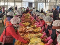 김제 금만농협 사랑의 김장김치 나눔 행사