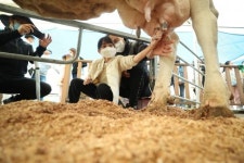 [창간] 임실N치즈 이미지 제고…지역경제 살린다