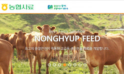 농협사료 가격 첫 인하…축산농 고통 던다