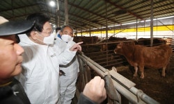 이재명 더불어민주당 대표, 정읍시 한우 축사 농가 방문