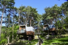 싱그러운 봄 내음, 춘향(春香)의 고장 남원에서 마주해볼까