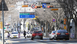 초등학교 하굣길 스클존 횡단보도 일시 정지 몰라…여전히 쌩쌩